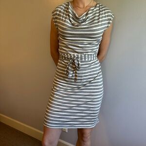 Icebreaker Merino Stripped Dress